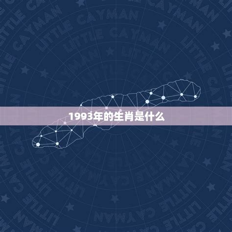 1993是什么年|1993年